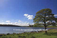 Spring view over Eyebrook Reservoir trout fishery