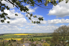 Summer view, Rockingham village