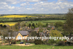 Summer view, Rockingham village