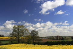 Summer view over Oil seed rape fields to Tixover