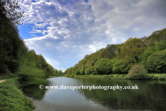 View over the lake at Creswell Crags