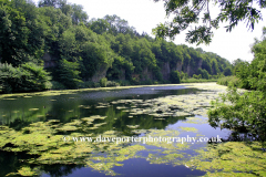 View over the lake at Creswell Crags