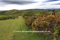 Wavering Down, Somerset Levels, Mendip Hills