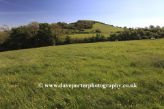 The Somerset levels from Brent Knoll