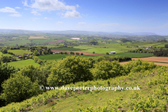 Summer view over the Quantock Hills