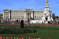 Buckingham Palace and Queen Victoria Memorial