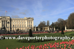 Buckingham Palace and Queen Victoria Memorial