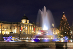 Christmas Tree, water fountains, Trafalgar Square