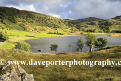 Summer view over Watendlath Tarn