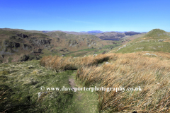 Spring, Martindale Common valley