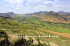 Summer, view through the Newlands valley