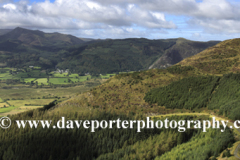 Landscape of Dodd Fell, Dodd woods, Keswick