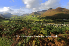 Autumn, Newlands valley and the Derwent Fells