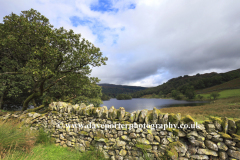 View through to Rydal Water