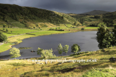 Summer view over Watendlath Tarn