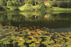 Reflections in Loughrigg Tarn