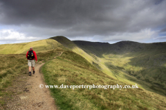 Walker on the Fairfield Horseshoe