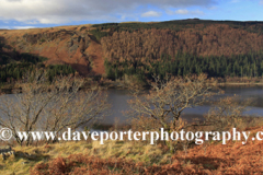 Autumn view overlooking Thirlmere