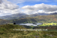 View over Grasmere and the Langdale Fells