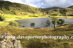 Summer evening, Watendlath Tarn