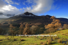 Autumn colours Red Pike Fell, Buttermere