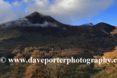 Autumn colours Red Pike Fell, Buttermere