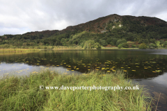 Reflections in Rydal Water