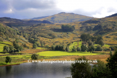 Summer view over Watendlath Tarn