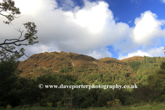 Lords Seat fell  from the Whinlatter Pass