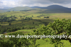 View through the Matterdale valley