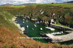 Fishing Boats at Porth Clais, Pembrokeshire