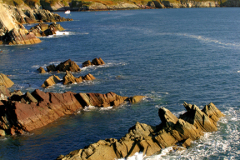 Shoreline, St Justinians Bay, Pembrokeshire