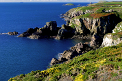 St Nons Bay Coastline, Pembrokeshire