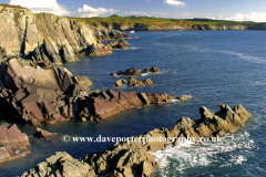 Shoreline St Justinians Bay Pembrokeshire