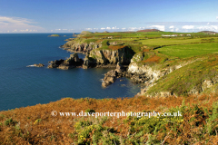 Coastline St Nons Bay, Pembrokeshire