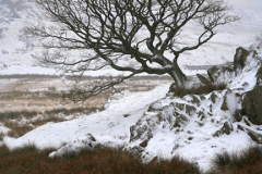 Winter snow, Pass of Llanberis