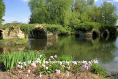 Warwick Castle Bridge, River Avon