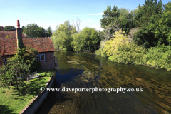 The River Nadder, Salisbury City