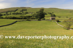 View over flower meadow, Raydale, Yorkshire Dales