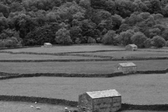 Stone barns at Feetham village, Swaledale