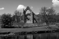 The ruins of Bolton Abbey Priory, near Skipton