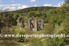 The ruins of Bolton Abbey Priory, near Skipton