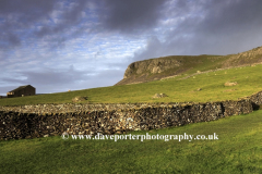 Scales Moor near the village of Ingleton