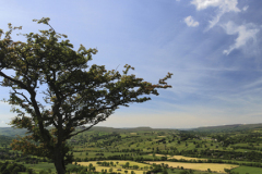 View over West Burton village, Wensleydale