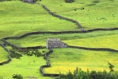 Stone barns, flower meadows, Muker village, Swaledale