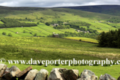 Flower Meadows, Summer Lodge Moor; Swaledale