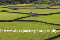 Stone barns at Feetham village, Swaledale