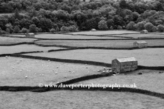 Stone barns at Feetham village, Swaledale