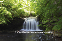 Cauldron Falls, Walden Beck, West Burton village