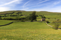 View over flower meadow, Raydale, Yorkshire Dales